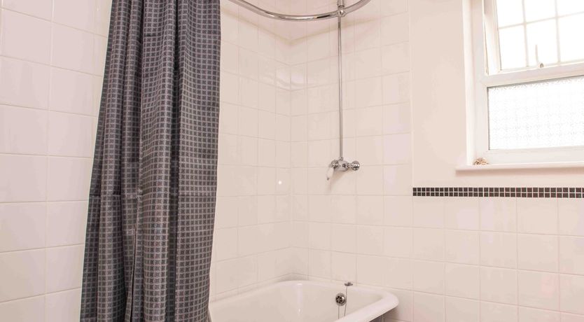 Photo of The Fiddlehead