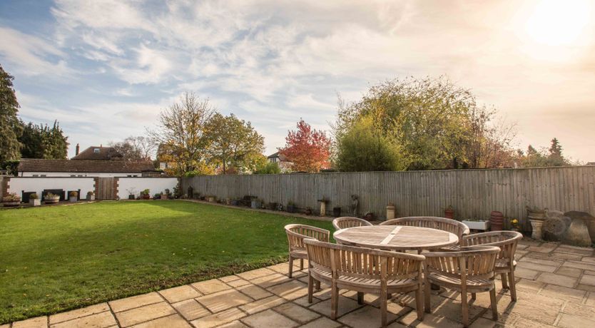 Photo of The Fiddlehead