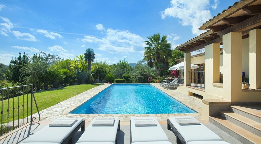 Photo of A Place For Palm Trees