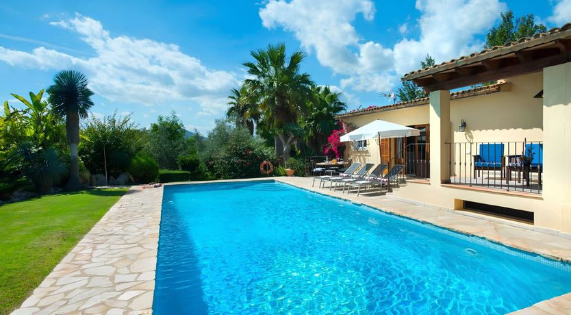 Photo of A Place For Palm Trees