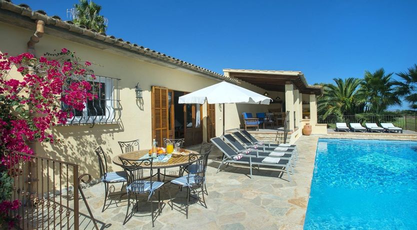 Photo of A Place For Palm Trees