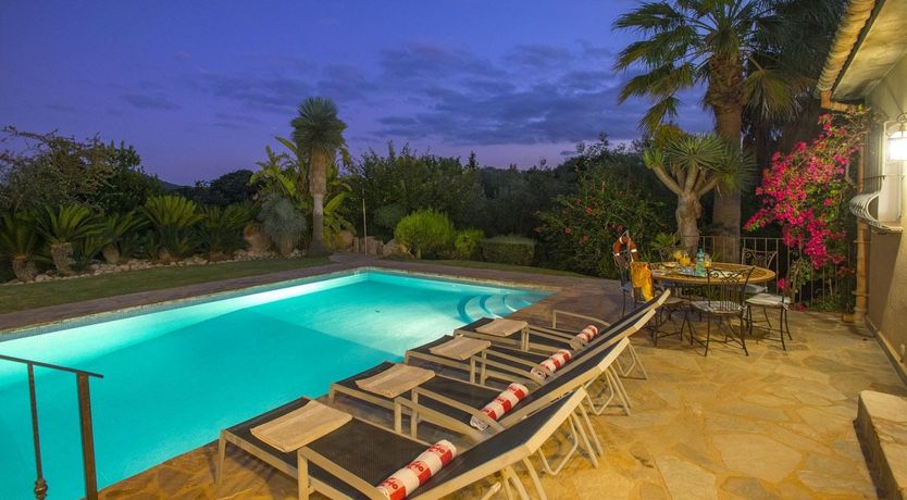 Photo of A Place For Palm Trees