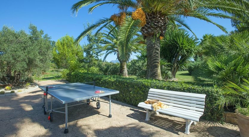 Photo of A Place For Palm Trees