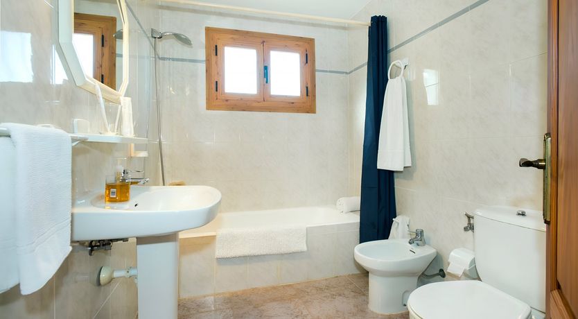 Photo of A Place For Palm Trees