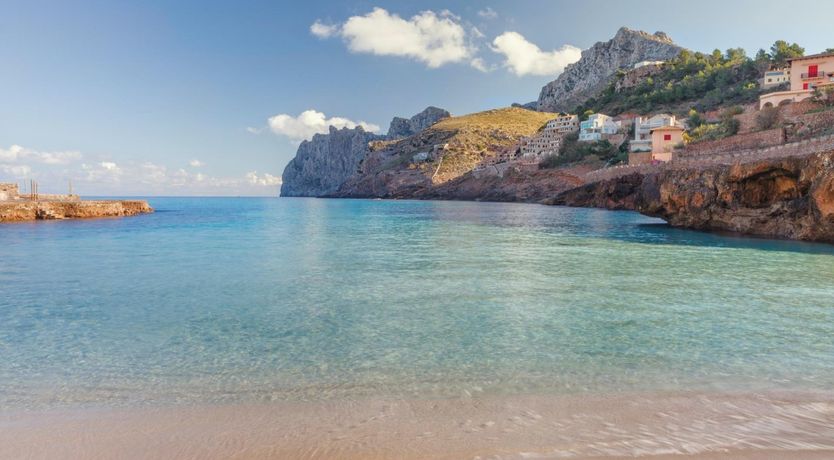 Photo of A Place For Palm Trees