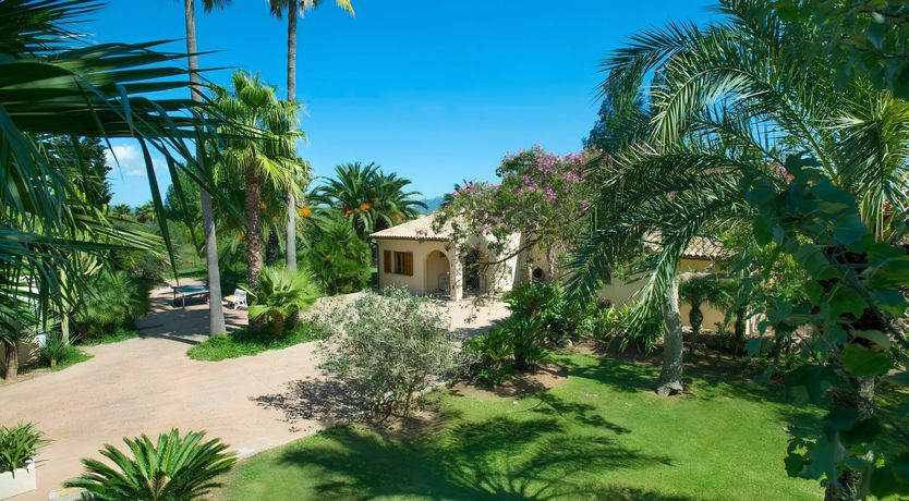 Photo of A Place For Palm Trees