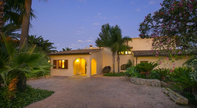 Photo of A Place For Palm Trees