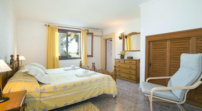 Photo of A Place For Palm Trees