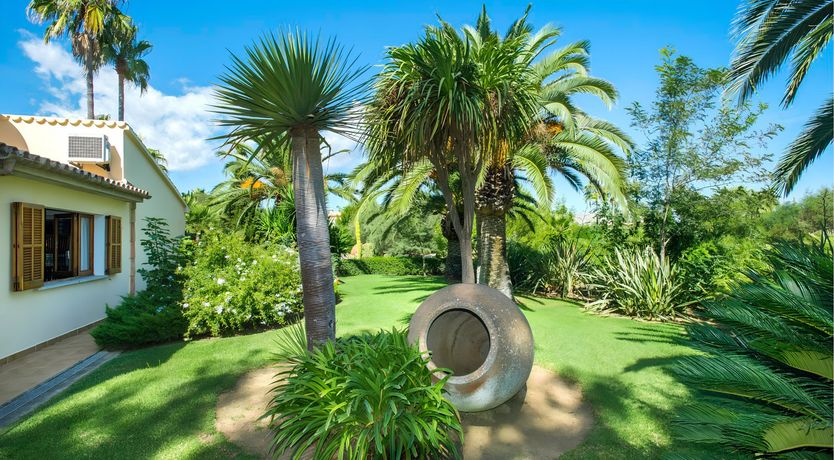 Photo of A Place For Palm Trees