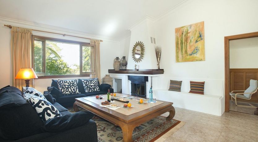 Photo of A Place For Palm Trees