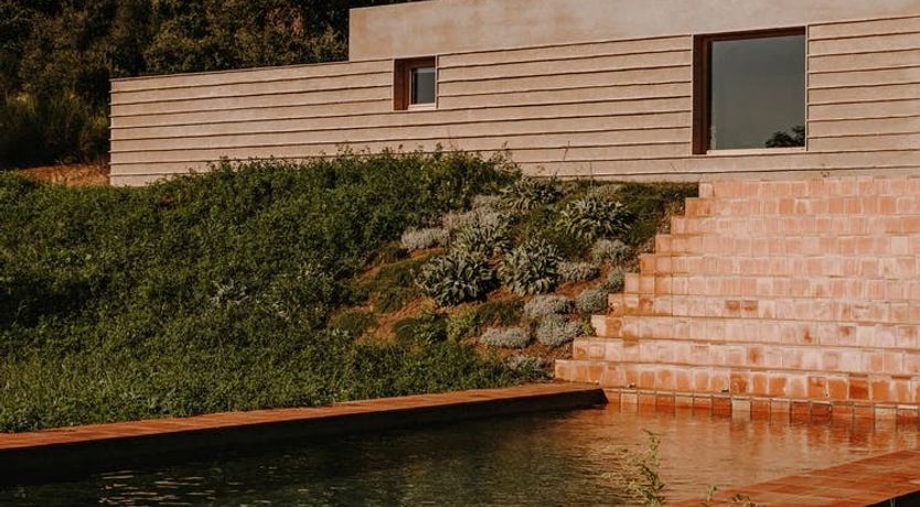 Photo of From the Riverbed