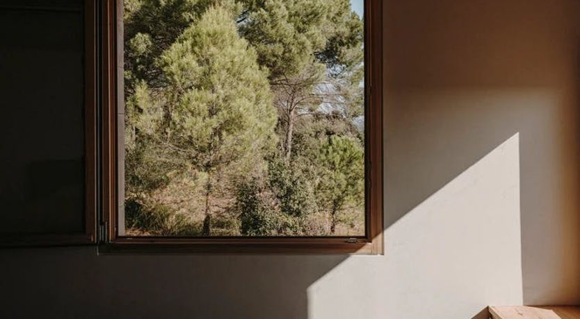 Photo of From the Riverbed