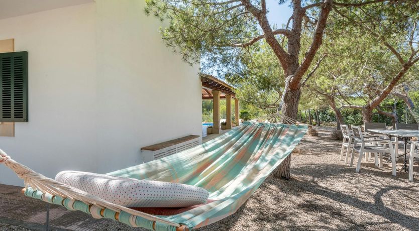 Photo of White Oak & Vine