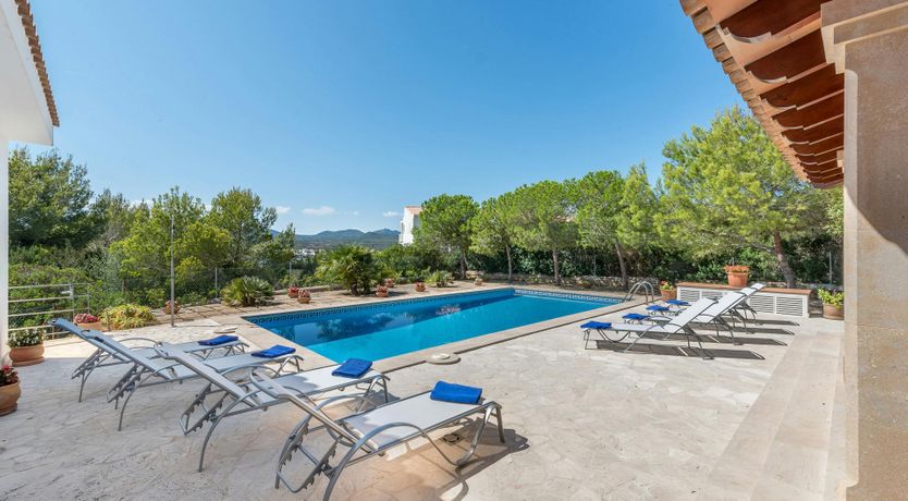 Photo of White Oak & Vine