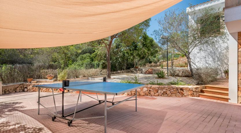 Photo of White Oak & Vine