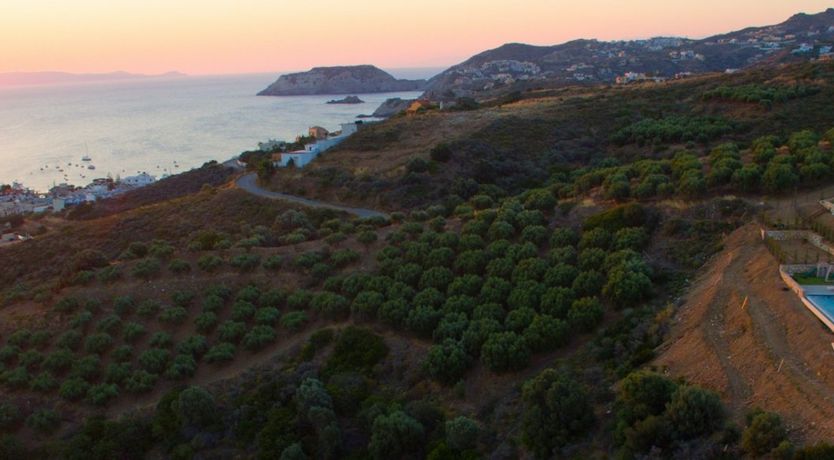 Photo of Aegean Zest