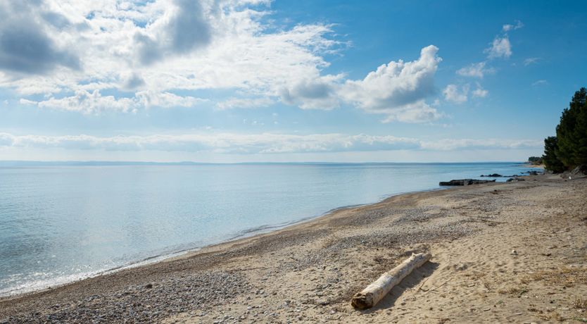 Photo of Ode to Apollo