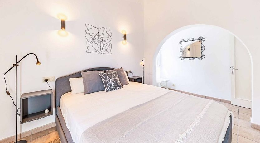 Photo of Swooping Seagulls