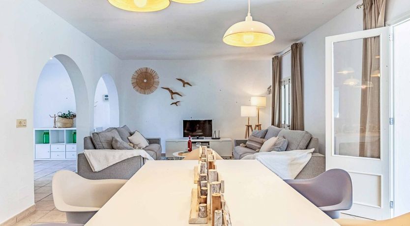 Photo of Swooping Seagulls