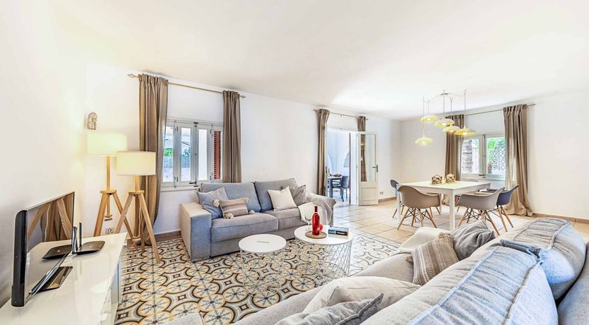 Photo of Swooping Seagulls