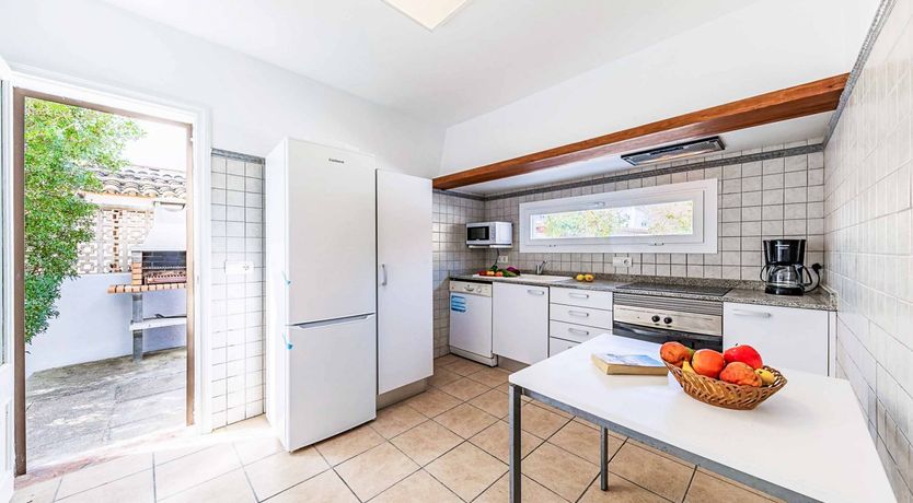 Photo of Swooping Seagulls