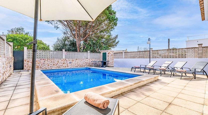 Photo of Swooping Seagulls