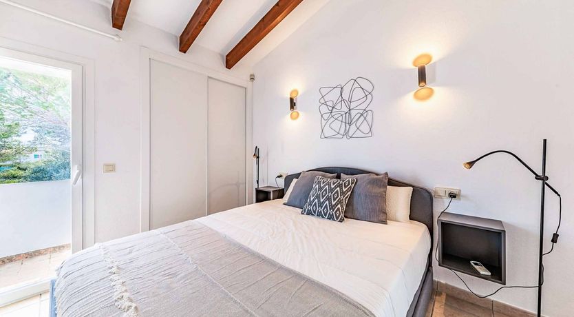 Photo of Swooping Seagulls