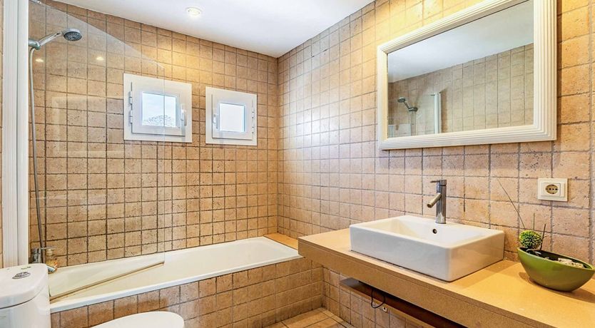 Photo of Swooping Seagulls