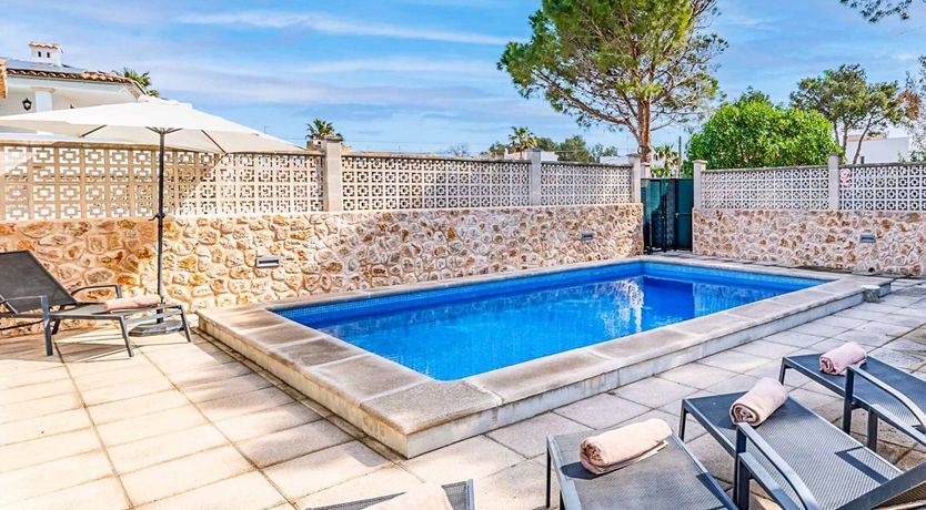 Photo of Swooping Seagulls