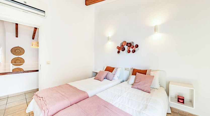 Photo of Swooping Seagulls