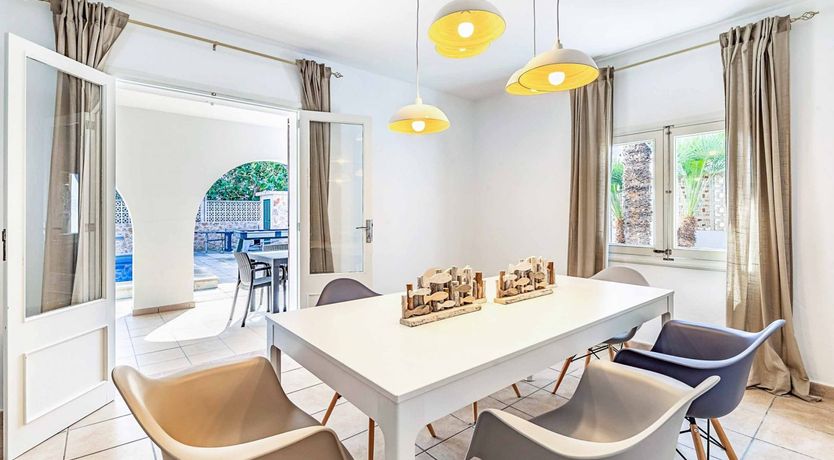 Photo of Swooping Seagulls