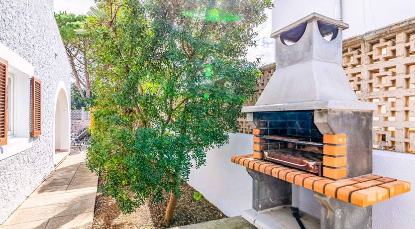 Photo of Swooping Seagulls