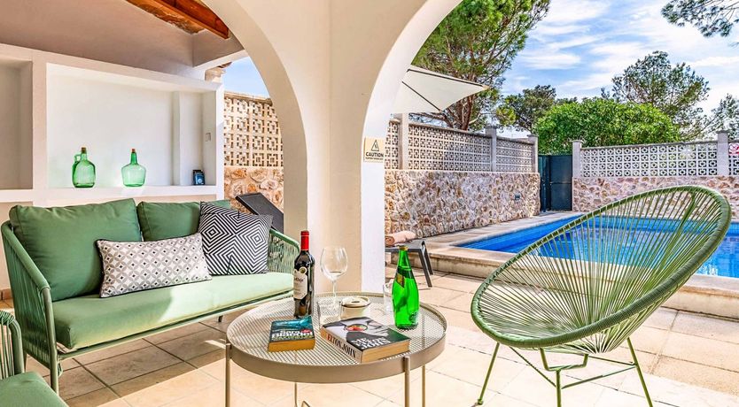 Photo of Swooping Seagulls