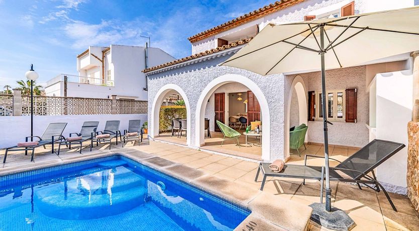 Photo of Swooping Seagulls