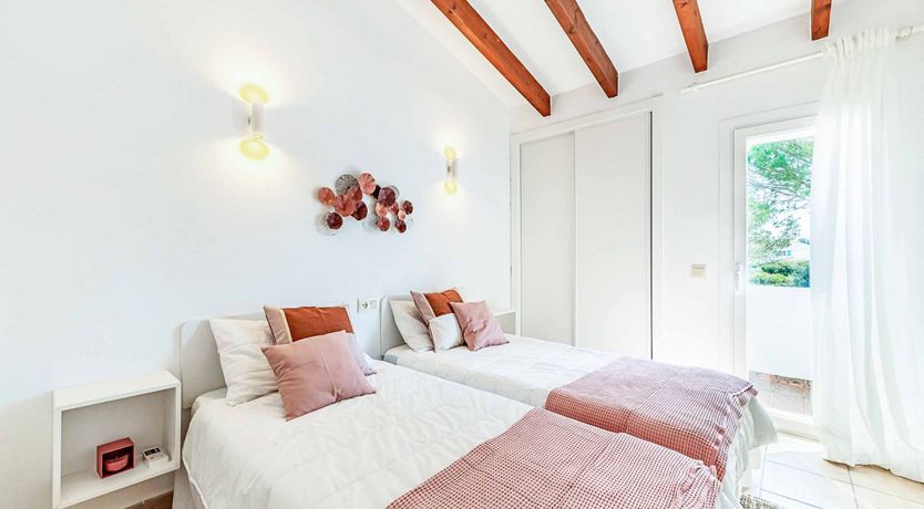 Photo of Swooping Seagulls