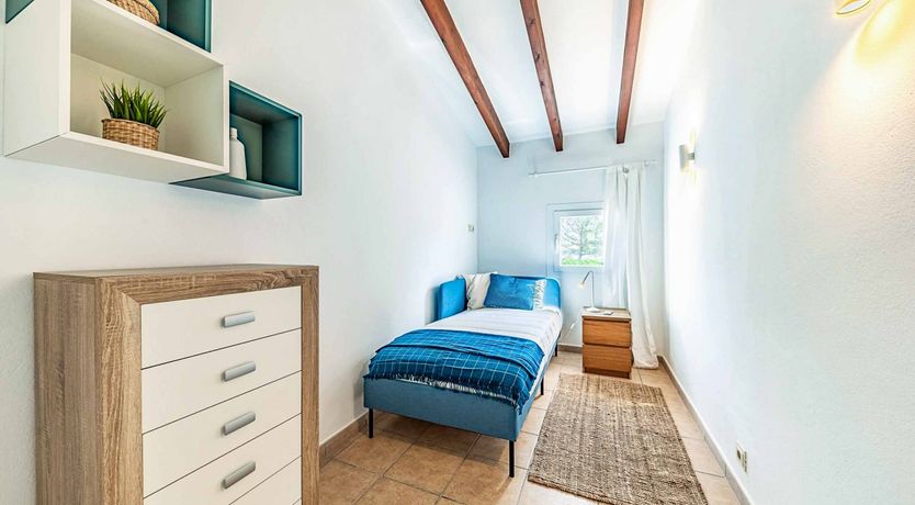 Photo of Swooping Seagulls