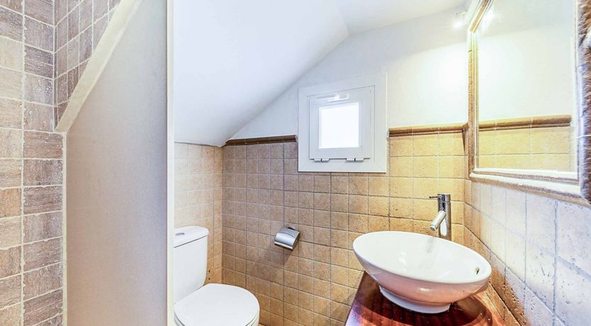 Photo of Swooping Seagulls