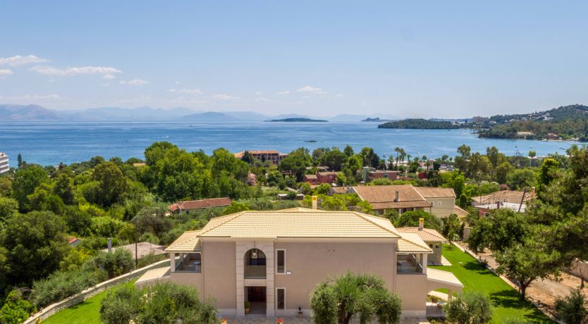 Photo of The Red Rose