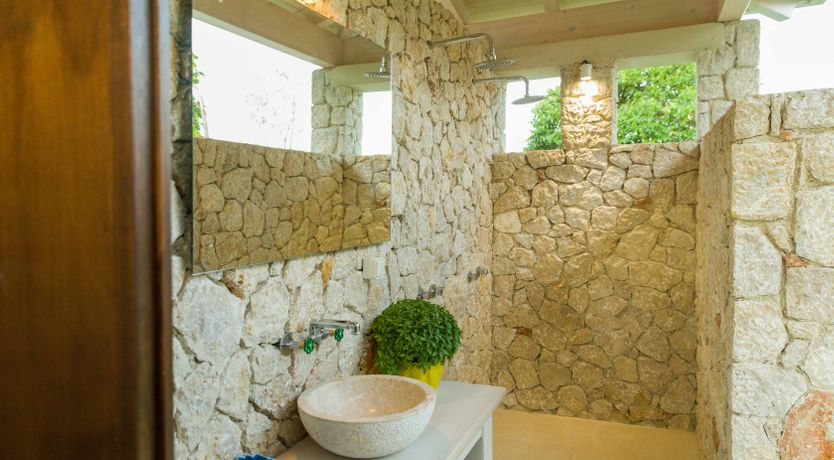 Photo of The Red Rose