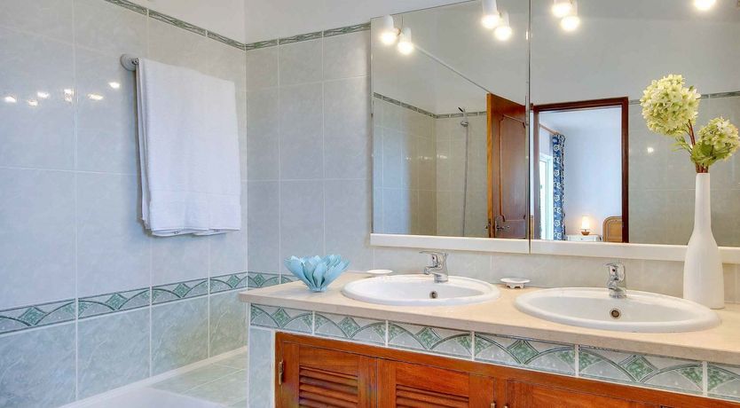 Photo of Serene Seas & Palm Trees