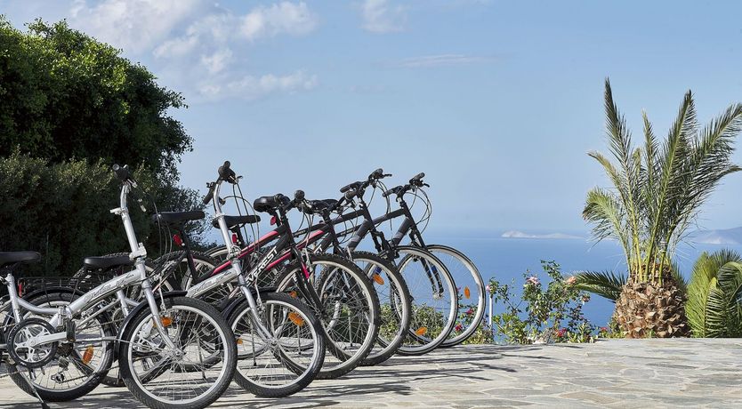 Photo of The Goddess of Peace