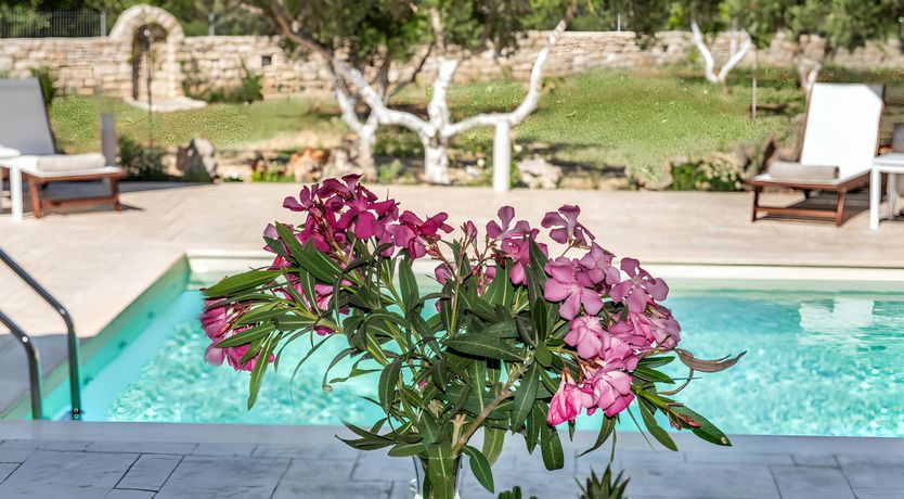 Photo of Ancient Gardens