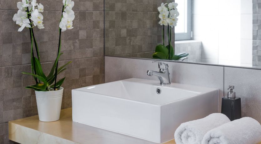 Photo of Greek Groove