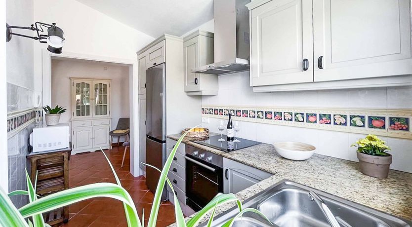 Photo of Mediterranean Swims