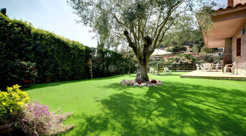 Photo of The Overlook