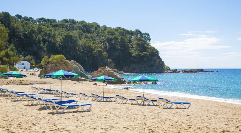 Photo of The Overlook