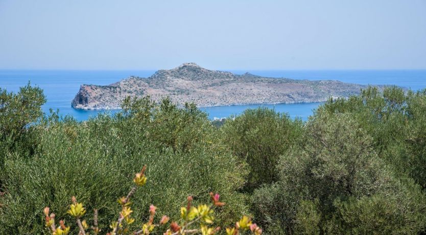 Photo of Melodious Nature