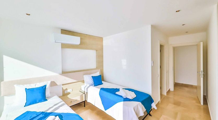 Photo of Shore & Shells