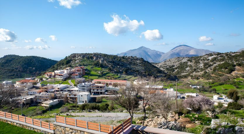 Photo of Wild Blue Eyes