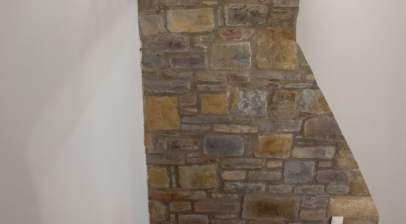 Photo of Wild Blue Eyes